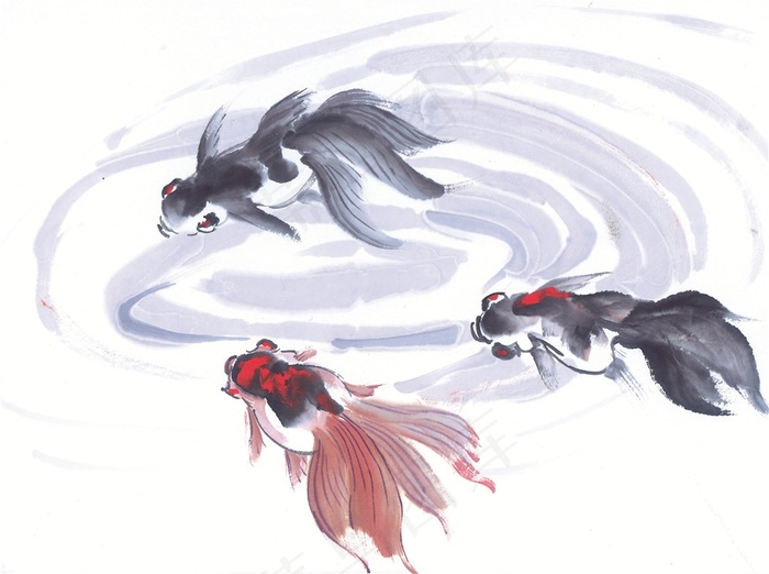 鱼虾蟹龟高清素材