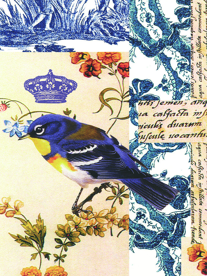 花鸟时尚复古艺术插画