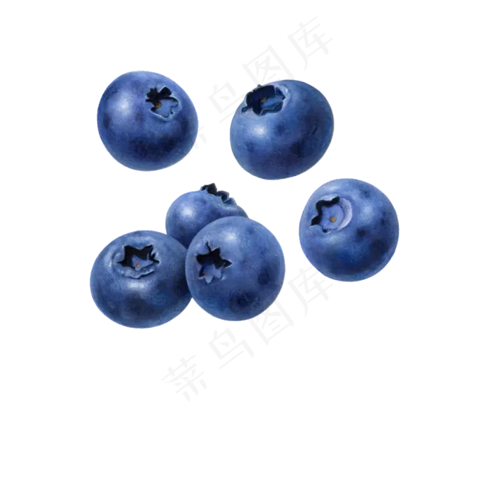 水果鲜水果蓝莓免抠素材