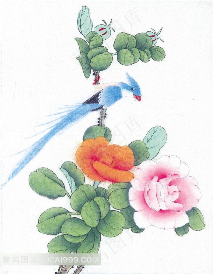 唯美工笔月季花喜鹊国画图片