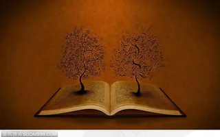 在打开的书本上长出两棵树