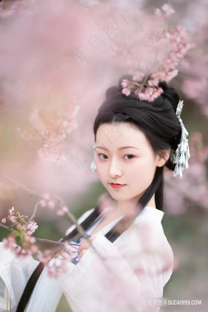 超清古典樱花汉服美女图片