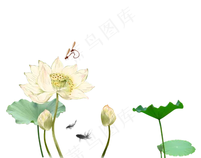 唯美古风水彩手绘荷叶荷花