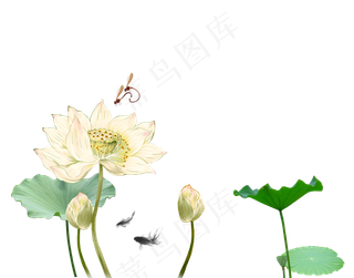 唯美古风水彩手绘荷叶荷花