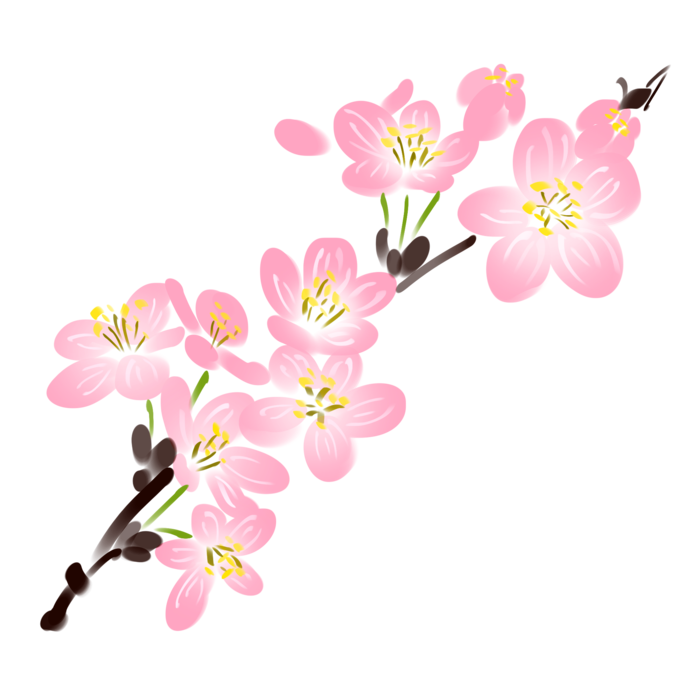 春天浪漫粉红色樱花手绘樱花梅花桃花花朵图片PNG免扣素材