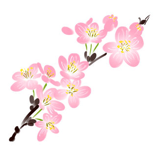 春天浪漫粉红色樱花手绘樱花梅花桃花花朵图片PNG免扣素材