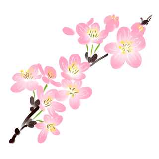 春天浪漫粉红色樱花手绘樱花梅花桃花花朵图片PNG免扣素材