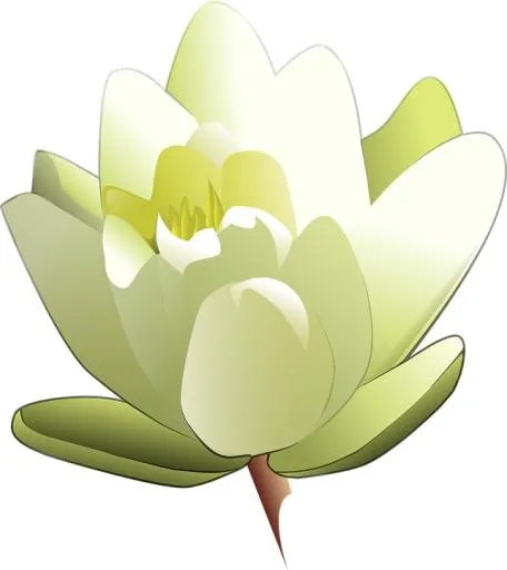 莲花 PNG免抠(642x720)