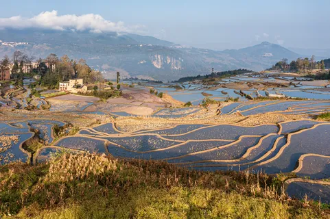 爱村蓝色梯田 爱村蓝色梯田