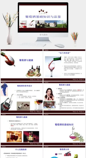 红酒葡萄酒知识培训宣传介绍PPT模板预览图