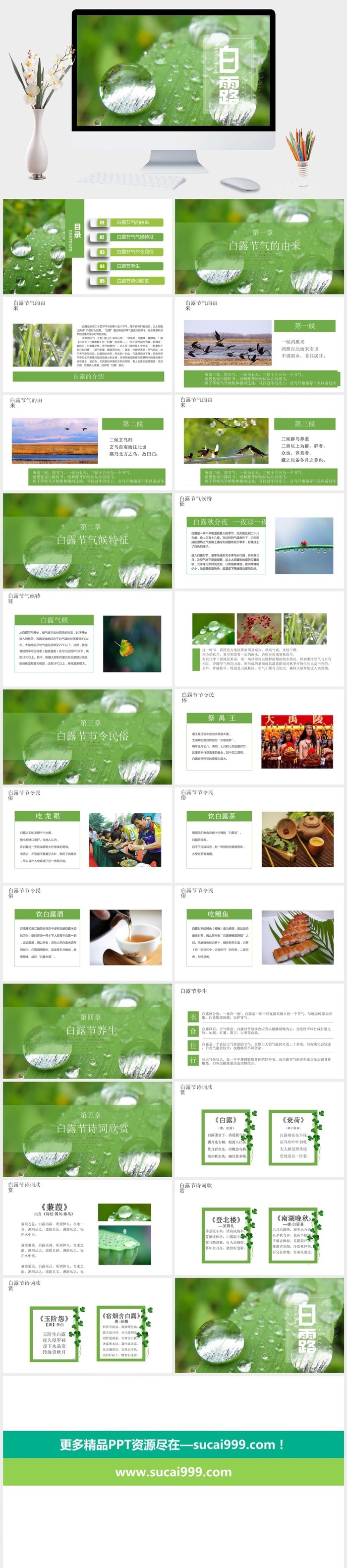 中国风清爽二十四节气白露PPT模板