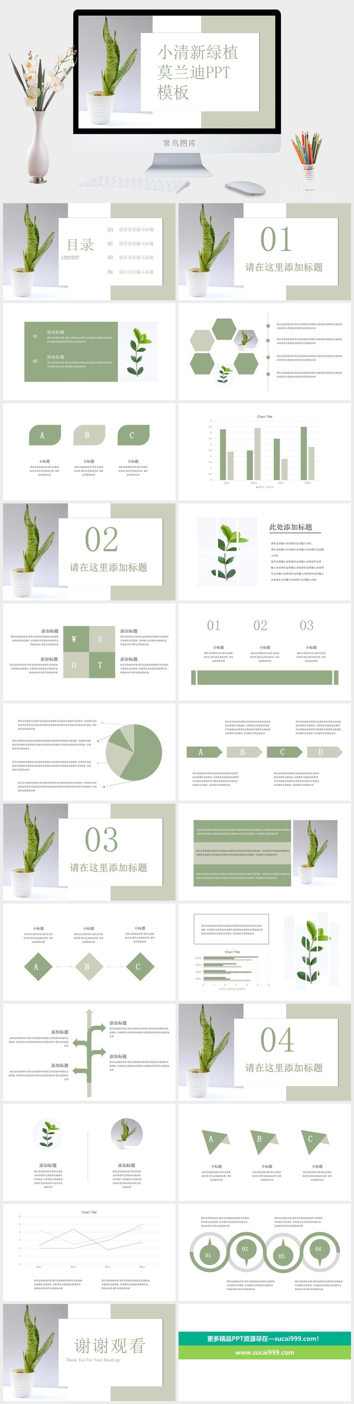 莫兰迪色系PPT模板