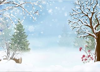 圣诞节蓝天白色风景背景墙