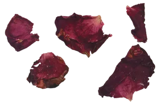 散落的玫瑰花瓣免抠元素实物摄影素材