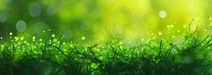 春天夏天绿色草地清新，春分立夏插画背景