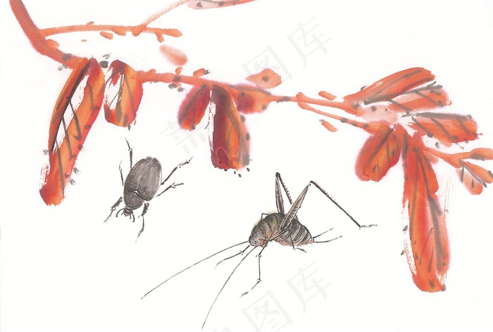 昆虫花草高清美图素材