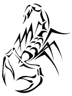 纹身蝎子 PNG免抠(240x320)