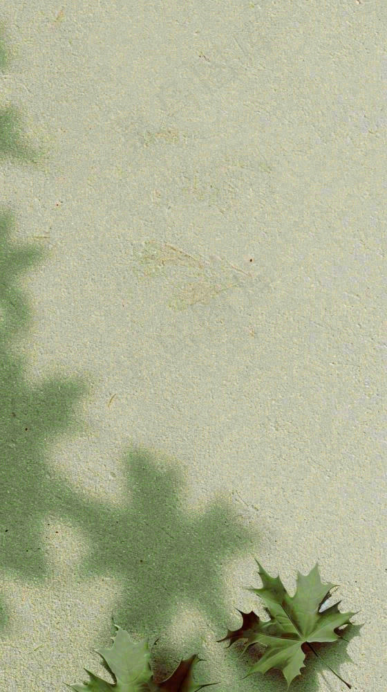 简约绿色叶子影子纹理(816x1456)