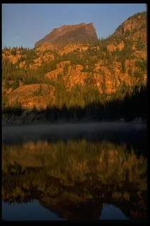 绿树山水 318 绿树山水 318