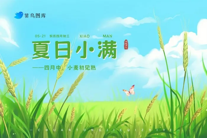 小满夏日小麦清新banner(3000x2000)psd模版下载