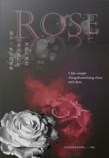 白玫瑰与红玫瑰海报
