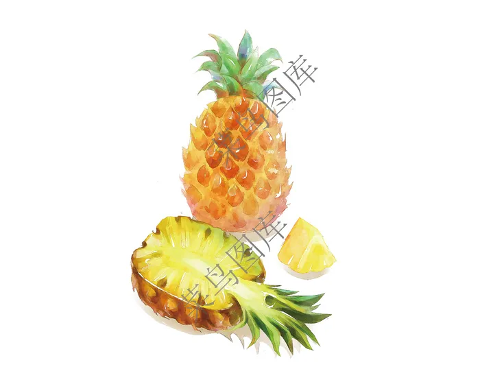 凤梨-菠萝抽象图片