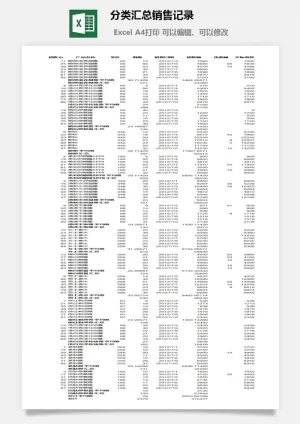 分类汇总销售记录excel模板
