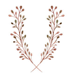 唯美森系手绘水彩花朵 免抠