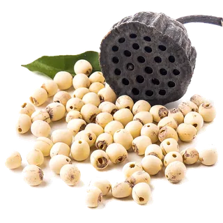 干莲子超市商品白底图免抠实物摄影png格式图片透明底