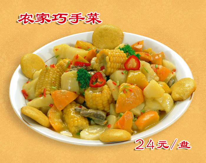 农家巧手菜24