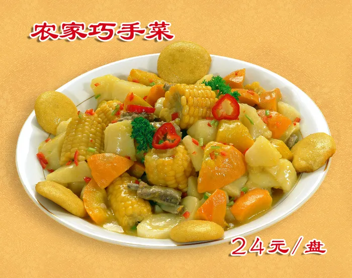 农家巧手菜24