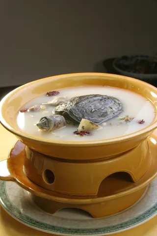 滋补甲鱼