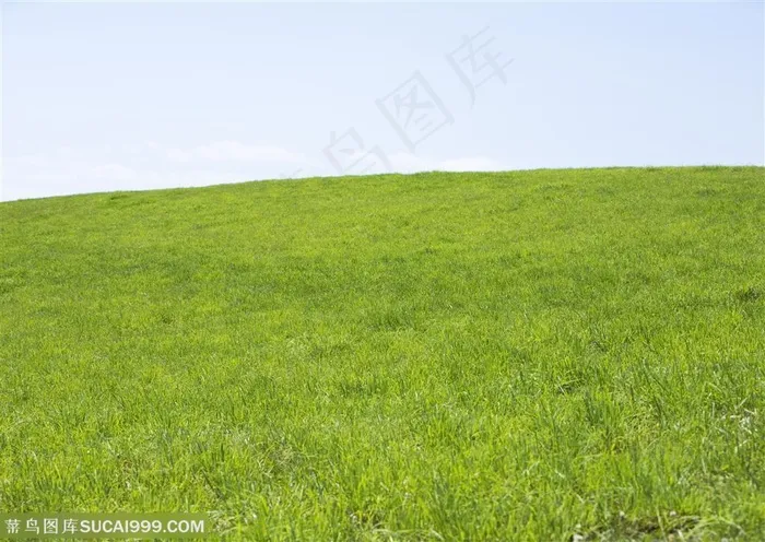 草地天空-嫩绿的小草堆