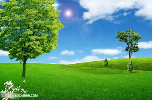 韩式自然背景蓝天草地风景画