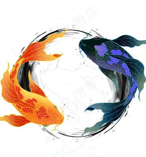 阴阳鱼锦鲤png图片