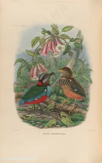 高清两只小鸟与粉色小花油画图片