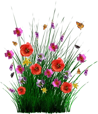 草丛花朵素材春季谷雨素材