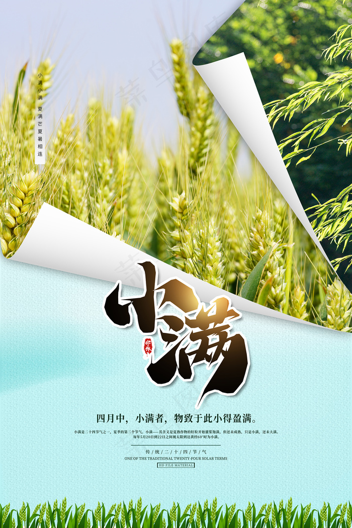 手绘24传统节气小满节日海报psd模版下载