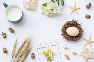 创意鸡蛋摄影高清图