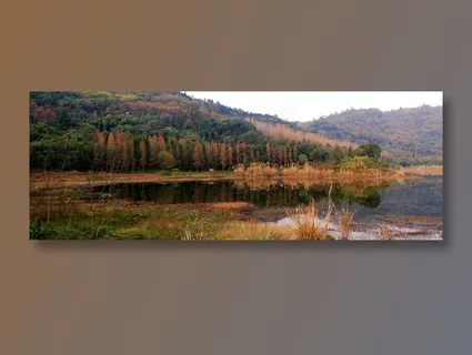 野外植被群山 野外植被群山