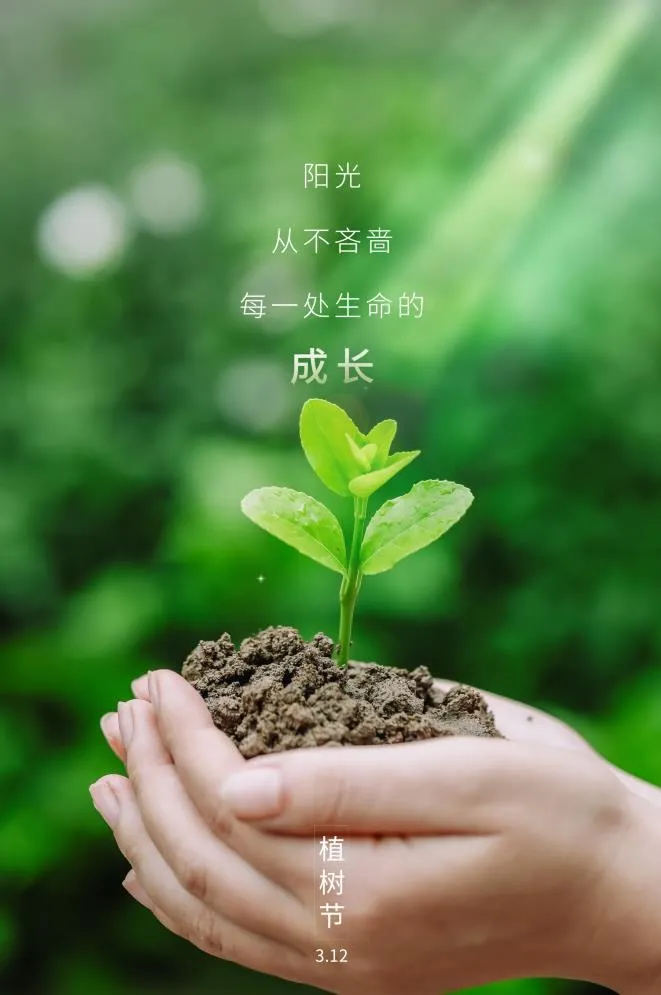 植树节3.12海报psd模版下载