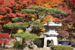 高档小区园林风景