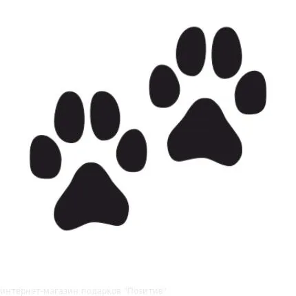 爪子 PNG免抠(430x430)