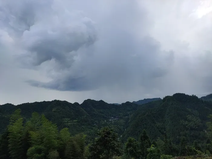 山雨欲来风满楼