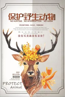 保护野生动物 保护野生动物