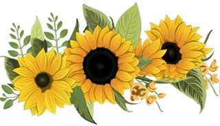 手绘向日葵黄色