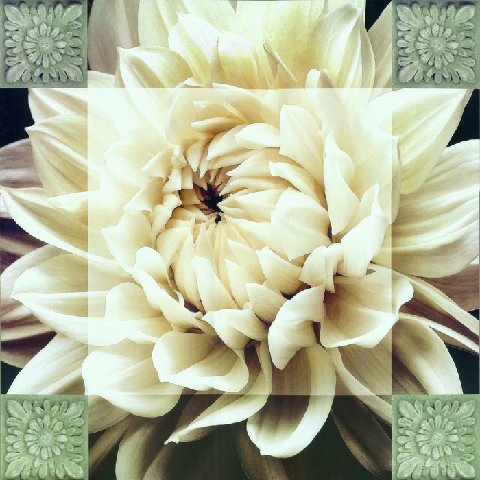 复古花卉高清插画