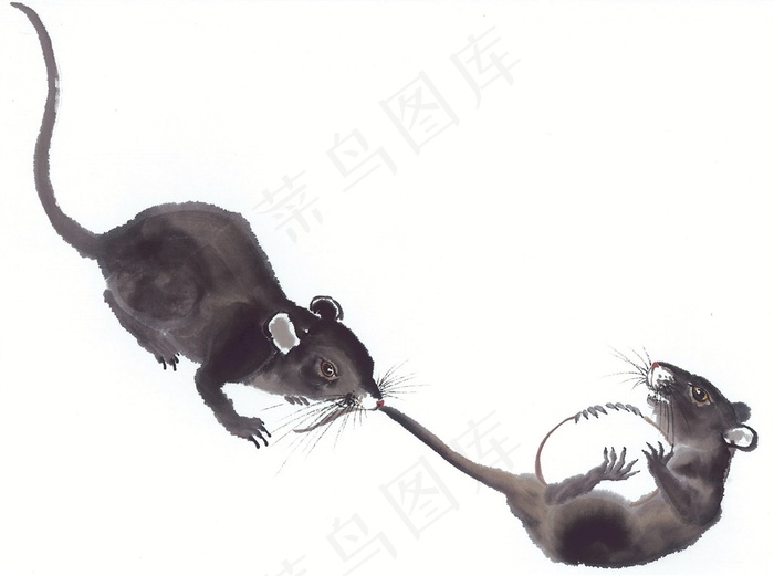 鼠牛虎兔龙蛇马羊猴鸡狗猪设计jpg素材