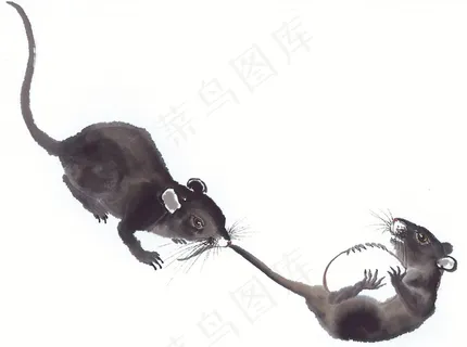 鼠牛虎兔龙蛇马羊猴鸡狗猪设计jpg素材 鼠牛虎兔龙蛇马羊猴鸡狗猪设计jpg素材