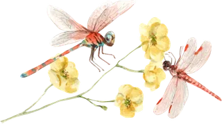 插画春鸟免抠素材